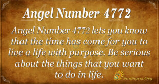 4772 angel number