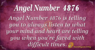 4876 angel number