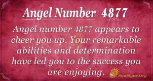 4877 angel number
