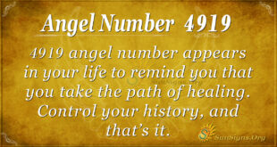 Angel Number 4919