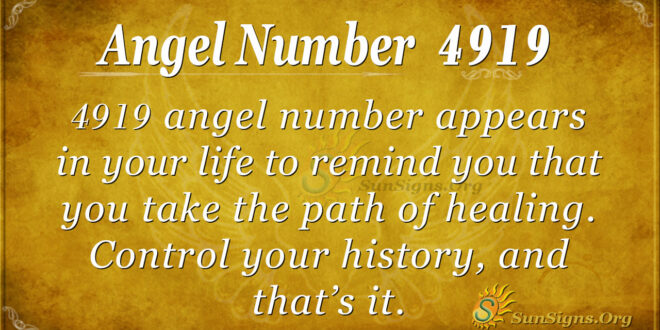 Angel Number 4919