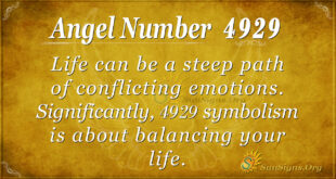 Angel number 4929