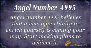 4995 angel number
