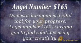 Angel number 5165