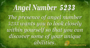 5233 angel number