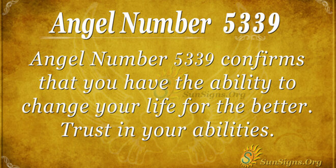 Angel number 5339