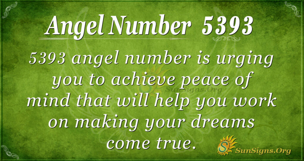 5393 angel number