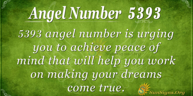 5393 angel number