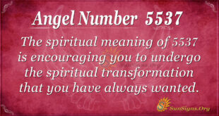 Angel number 5537