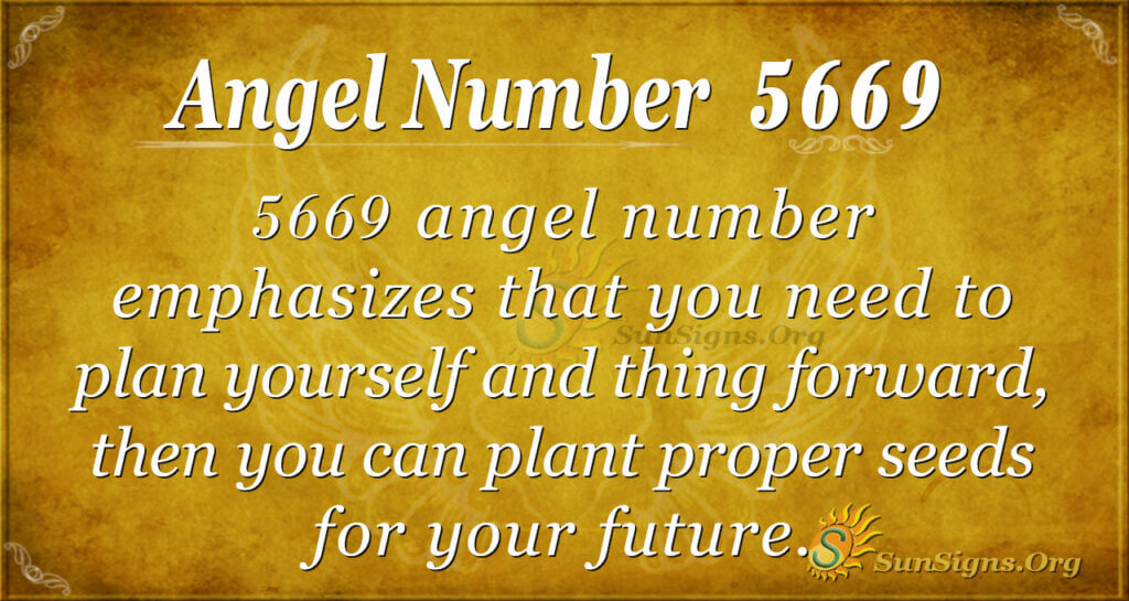 5669 angel number