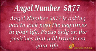 5877 angel number