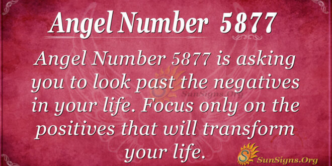 5877 angel number