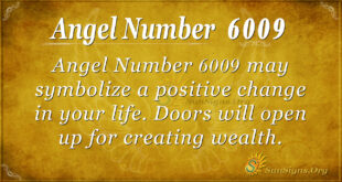 6009 ange number