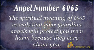 Angel Number 6065
