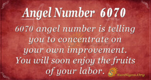 Angel Nuber 6070