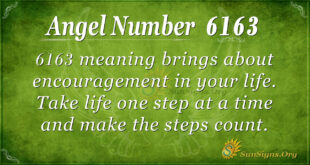 Angel number 6163