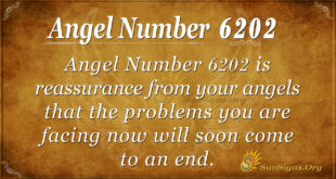 Angel Number 6202