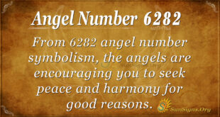 6282 angel number