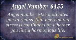 6455 angel number