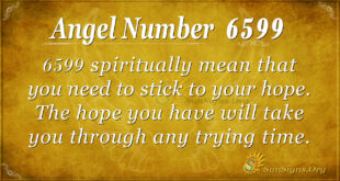 Angel Number 6599
