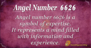 6626 angel number