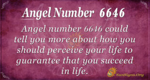 6646 angel number