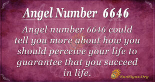 6646 angel number