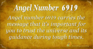 6919 angel number