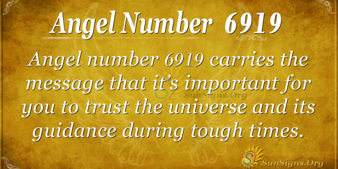 6919 angel number