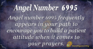 6995 angel number
