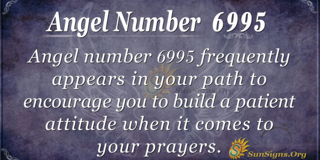6995 angel number