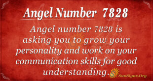 Angel number 7828