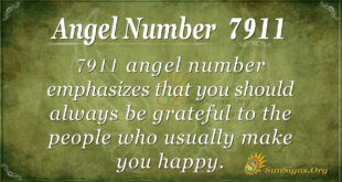 7911 angel number