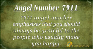 7911 angel number