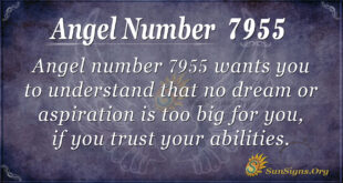 Angel number 7955