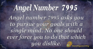 Angel number 7995