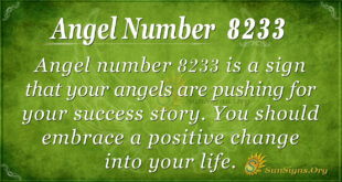 8233 angel number