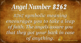 Angel Number 8262