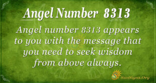Angel Number 8313