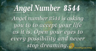 Angel number 8544