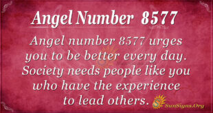 Angel number 8577