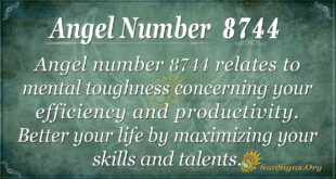 Angel number 8744