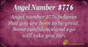 Angel number 8776