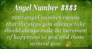 Angel number 8883