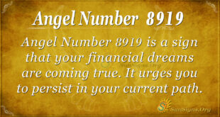 Angel number 8919