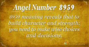 8959 angel number