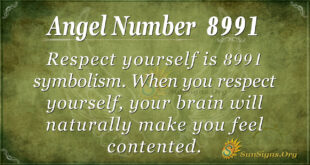 8991 angel number