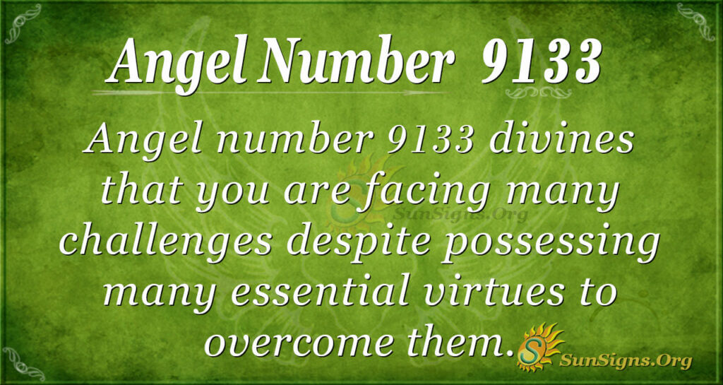 9133 angel number
