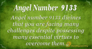 9133 angel number