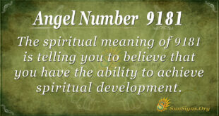 9181 angel number